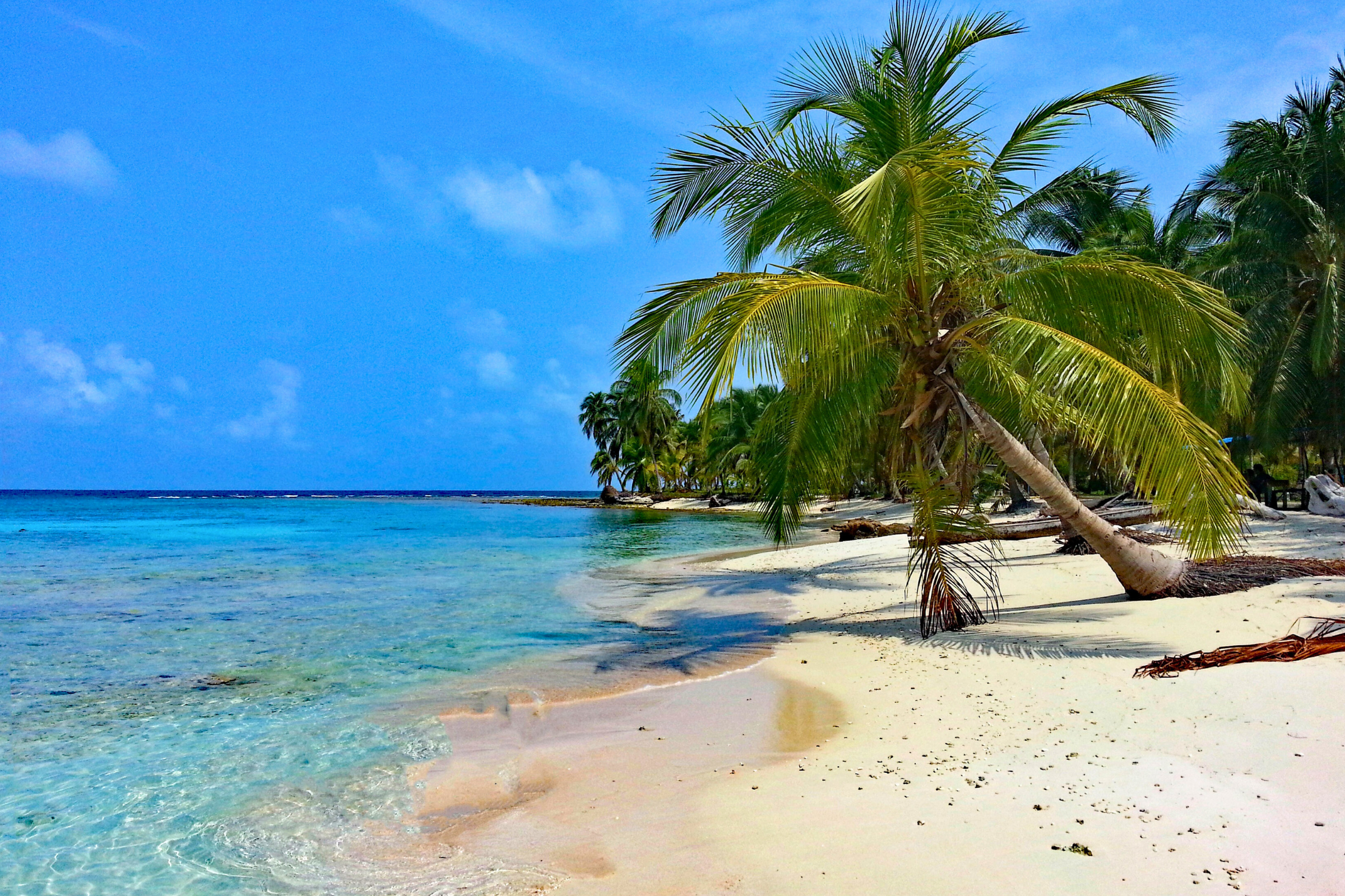 40 darien national park, panama.webp